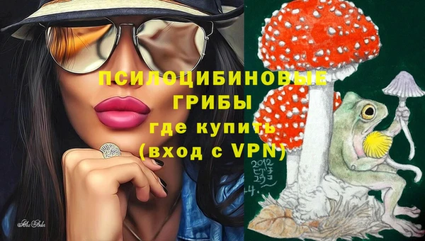 прущие крисы Абинск