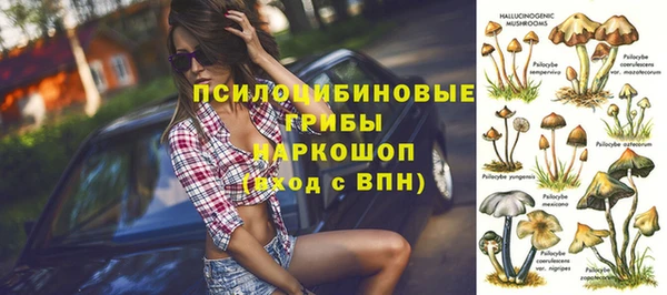 спиды Алзамай